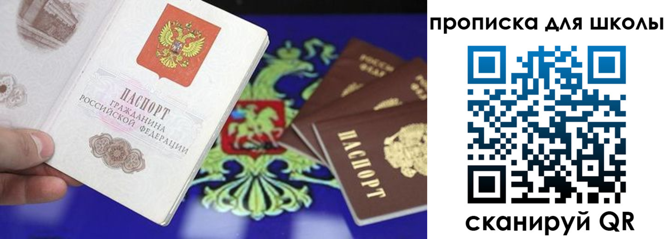 прописка в квартире в Клинцах