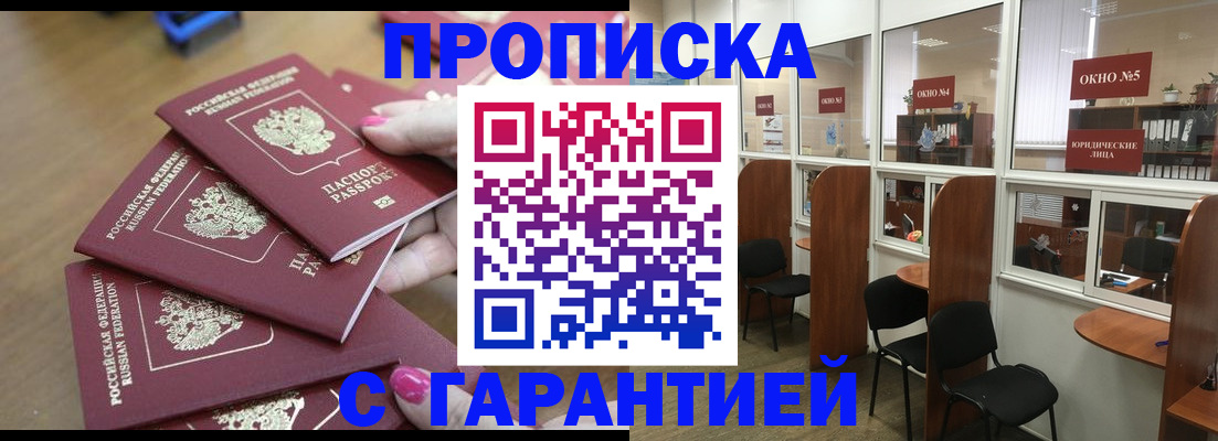 прописка поиск в Клинцах